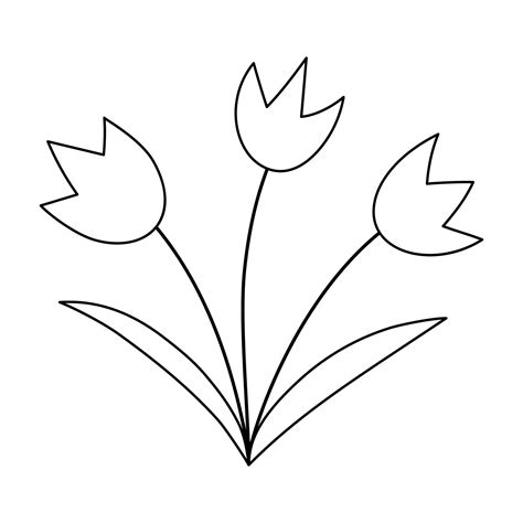 Vector black and white tulips icon. First blooming plants outline ...