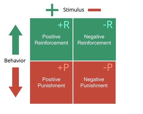 What Is Negative Reinforcement? Examples & Definition