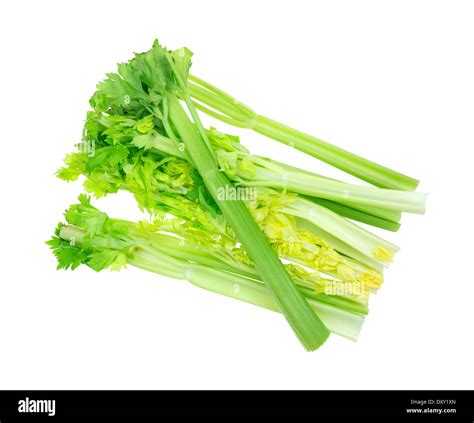 Stalks of celery hi-res stock photography and images - Alamy