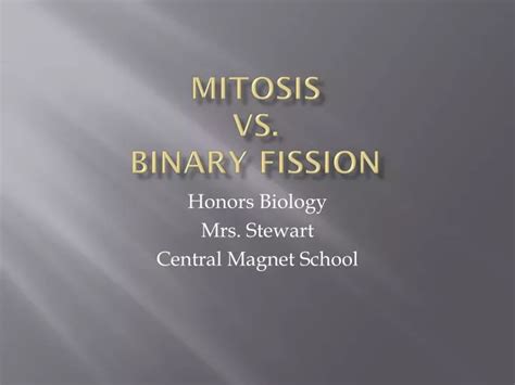 PPT - Mitosis vs. binary fission PowerPoint Presentation, free download ...