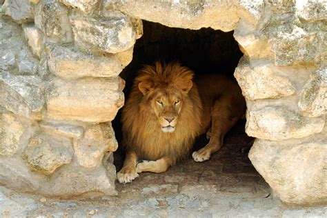 Daniel 6: Daniel in the Lions’ Den - Life, Hope & Truth