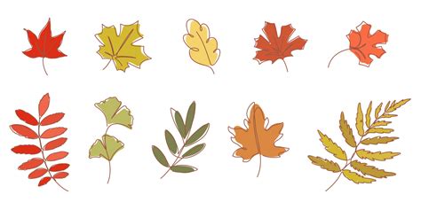 Continuous line drawing of autumn leaves vector illustration 10513674 ...