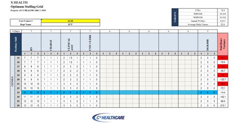 Nursing Staffing Grid - C2 Healthcare