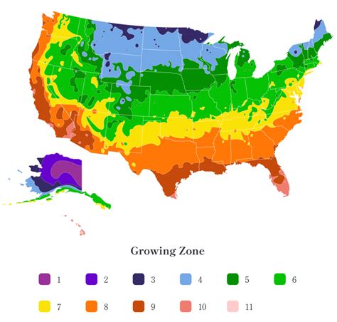 Us Plant Hardiness Zones 2023 By County - Umeko Isabella