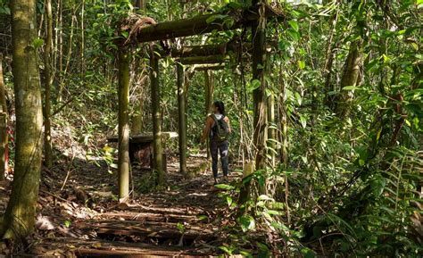 The Forgotten Bukit Batok Hillside Nature Park — Hiking to Hidden ...