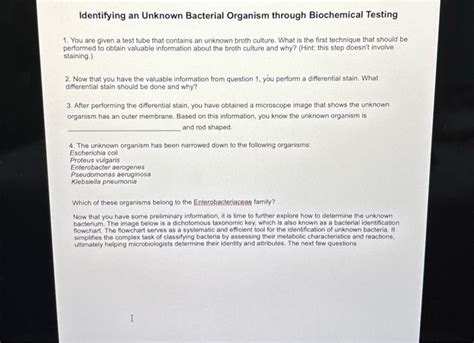 Solved ertaibiochemical tests that should help you identify | Chegg.com