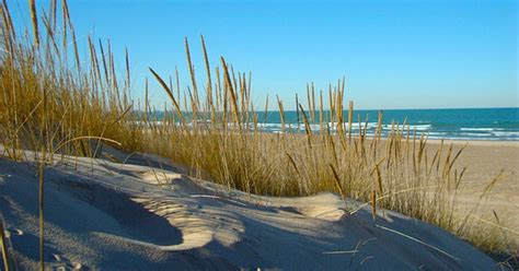 Indiana Dunes becomes national park after century-long effort