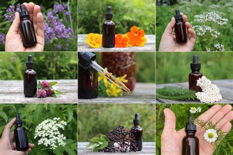 20 plus herbal tincture recipes (for homemade herbal medicine) - Nexus ...