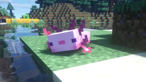 How to tame axolotls in Minecraft | PCGamesN