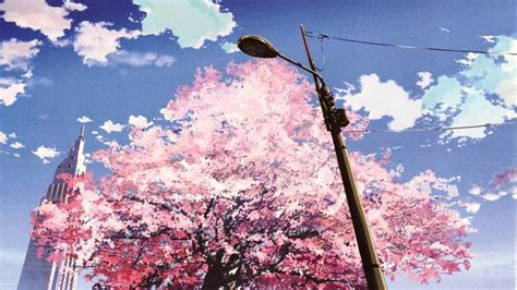 10 Most Popular Cherry Blossom Tree Anime Wallpaper FULL HD 1080p For ...