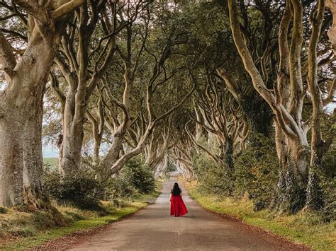 Dark Hedges Northern Ireland Guide - Game Of Thrones Filming Location ...