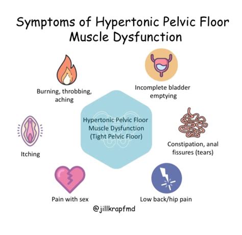 Hypertonic Pelvic Floor Muscles - The Floors