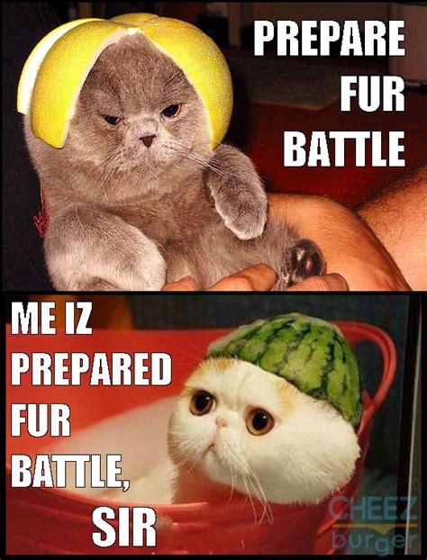 Battle Cats - I Can Has Cheezburger?