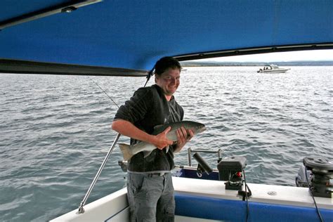 Trout @ Lake Taupo - attractions, New Zealand