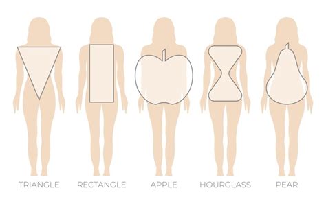 Female Body Types Chart: Complete Guide on Women Body Types - Salameh ...