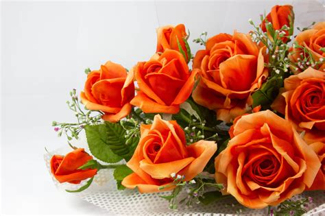 Orange Roses Wallpapers - Wallpaper Cave