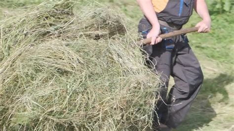 Farmer Harvesting Hay - Stock Video | Motion Array