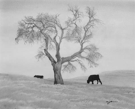 Lone Oak Tree | Landscape pencil drawings, Landscape drawings, Cool ...