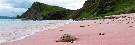 15 Stunning Pink Sand Beaches In The World To Experience