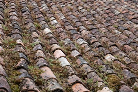 Premium Photo | Old tiles covered with moss house roof ancient ...