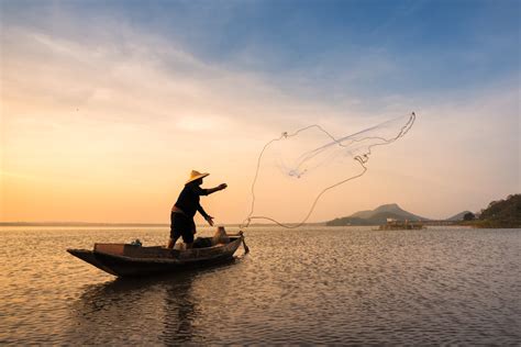 New app helps fishermen seek and sell their catch - Earth.com