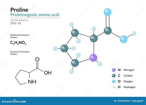 Proline L- Proline, Pro , P Proteinogenic Amino Acid Molecule ...