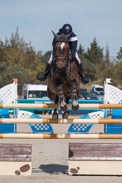 Premium Photo | Horse jumping competition