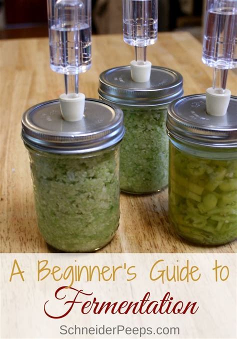 Beginner's Guide to Fermentation | SchneiderPeeps | Fermentation ...