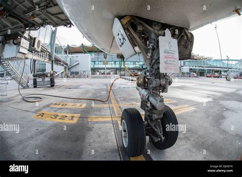 Airbus A320 nose landing gear Stock Photo, Royalty Free Image: 63078494 ...