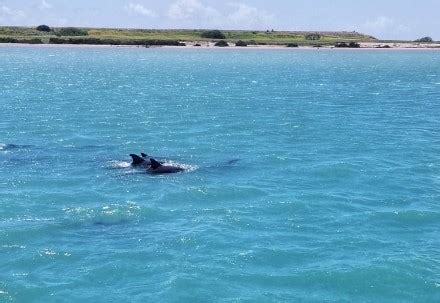 Things to do in South Padre Island Texas For The Family ...