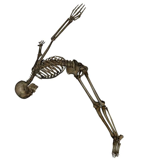 Skeleton PNG Transparent Images