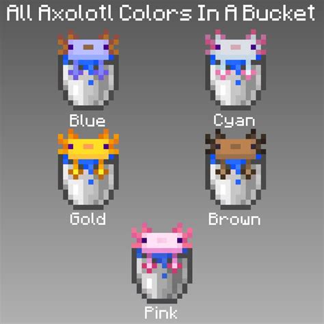 Made Every Axolotl Colors In a Bucket. : r/Minecraft