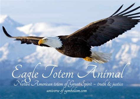 Eagle Symbolism & Eagle Meaning | Eagle Spirit Animal Guidance