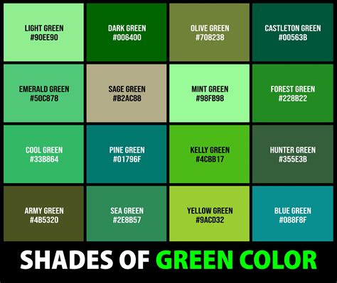 237+ Shades of Green Color (Names, HEX, RGB, & CMYK Codes ...