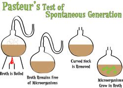 Louis Pasteur - Spontaneous Generation