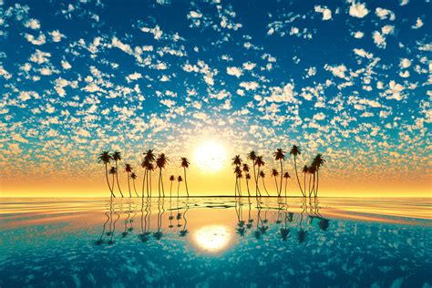 Palm Trees Reflection Sunset Wallpaper, HD Nature 4K Wallpapers, Images ...