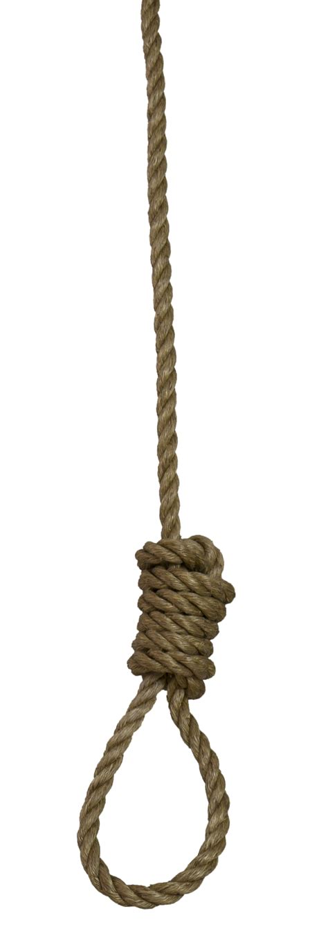 Rope PNG Image | Rope, Transparent background, Transparent