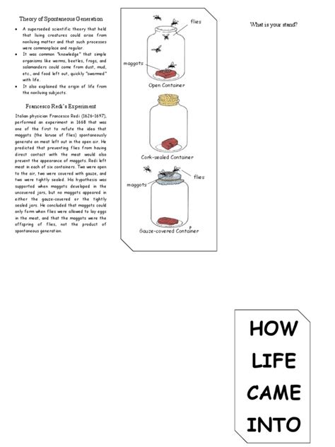 Theory of Spontaneous Generation | PDF