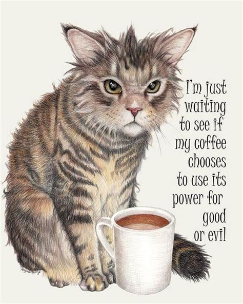 Coffee Humor To Start Your Day with Funny Images, Quotes, and Memes