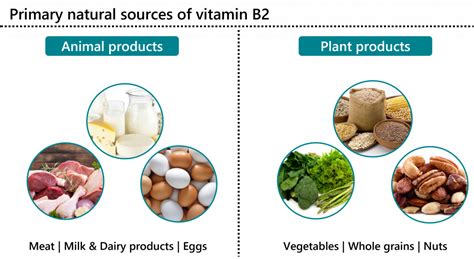 Rich Source Of Vitamin B2 | Sources For Vitamin K | Bioanalyt