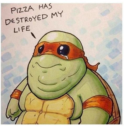 20 Hilarious Teenage Mutant Ninja Turtles Memes That Will Make You ...