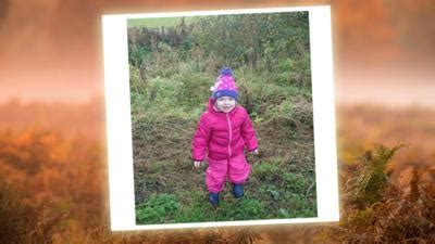 Send in your Autumnwatch pictures - CBeebies - BBC