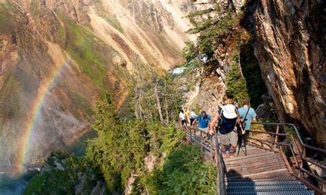 Yellowstone Canyon Area Day Hikes - AllTrips