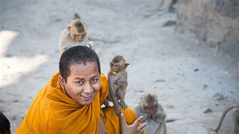 How to best experience the Lopburi Monkey Temple in 2024