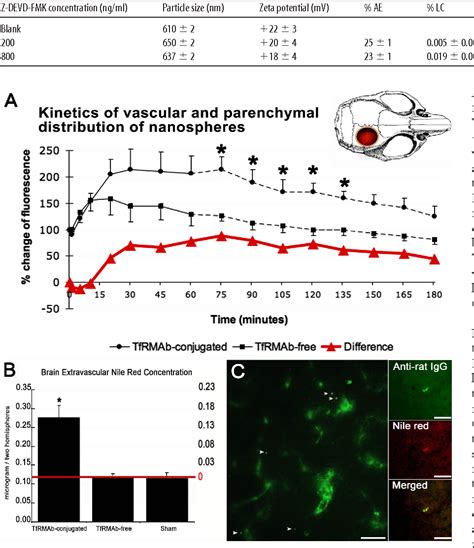 caspase activity | Semantic Scholar