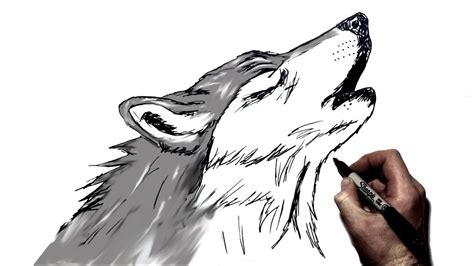 Werewolf Howling Drawing