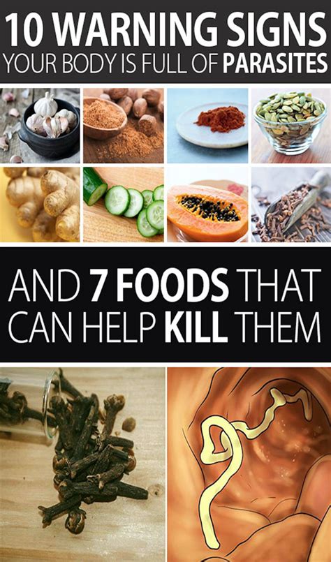 10 Warning Signs Your Body is Full of Parasites and 7 Foods That Can ...