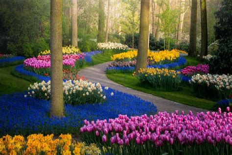 The Most Beautiful Flower Garden in the World, Without People