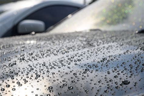 Why You Need Hydrophobic Coating For Your Windshield