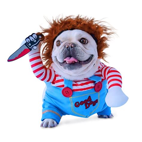 Dogs Costumes For Halloween | ubicaciondepersonas.cdmx.gob.mx